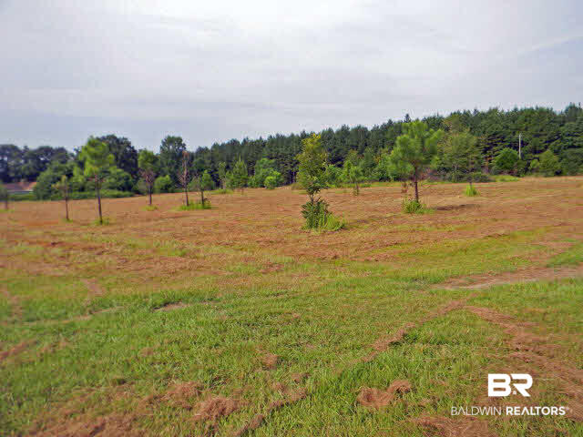 26300 Ard Road Robertsdale, AL 36567 - Photo 1 of 1