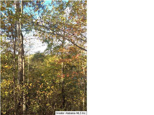 0 Highway 77, Unit 24 AC Ohatchee, AL 36271 - Photo 8 of 13