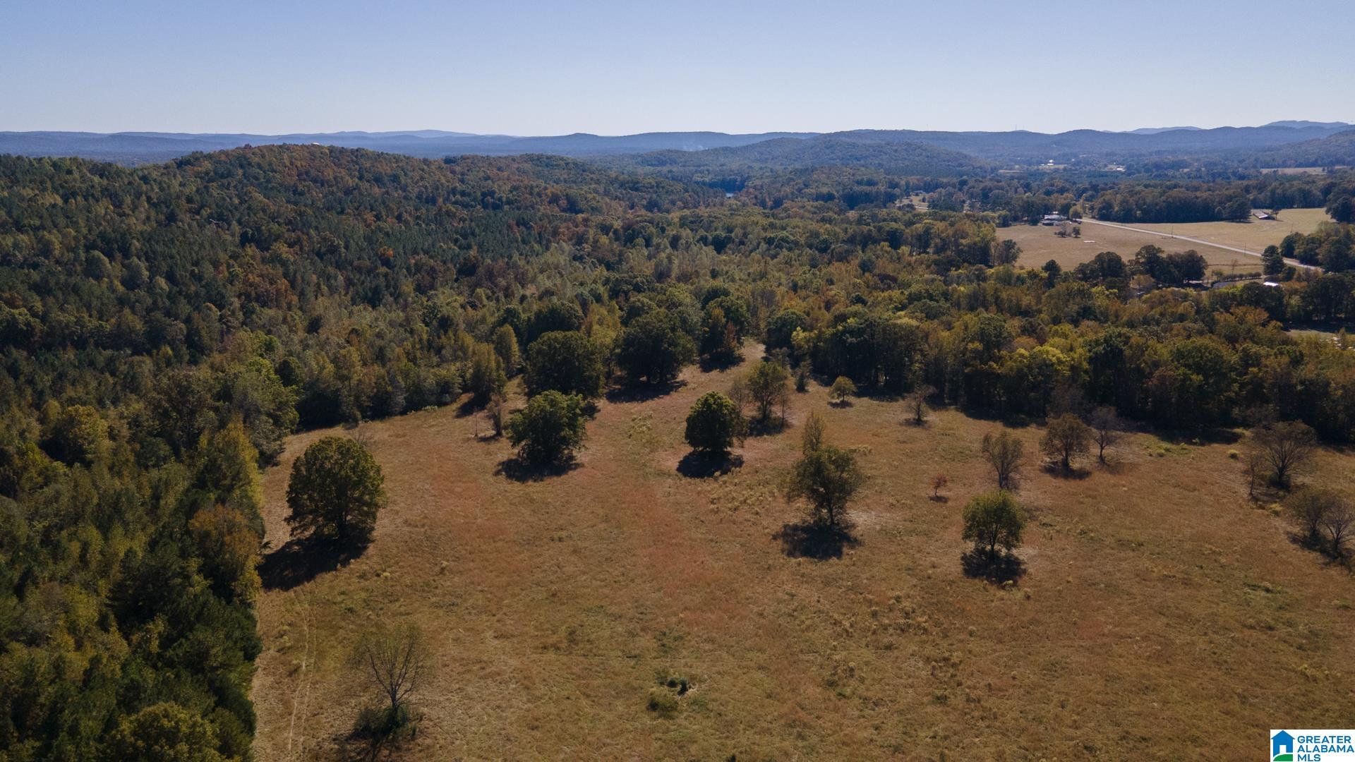 Crawford Cove Road Springville, AL 35146 - Photo 9 of 11 Gallery Image 9