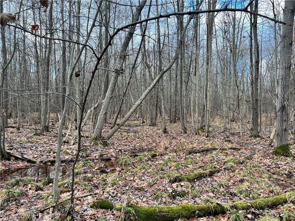 1291 Old Kyle Road Dorset, OH 44032 - Photo 10 of 21