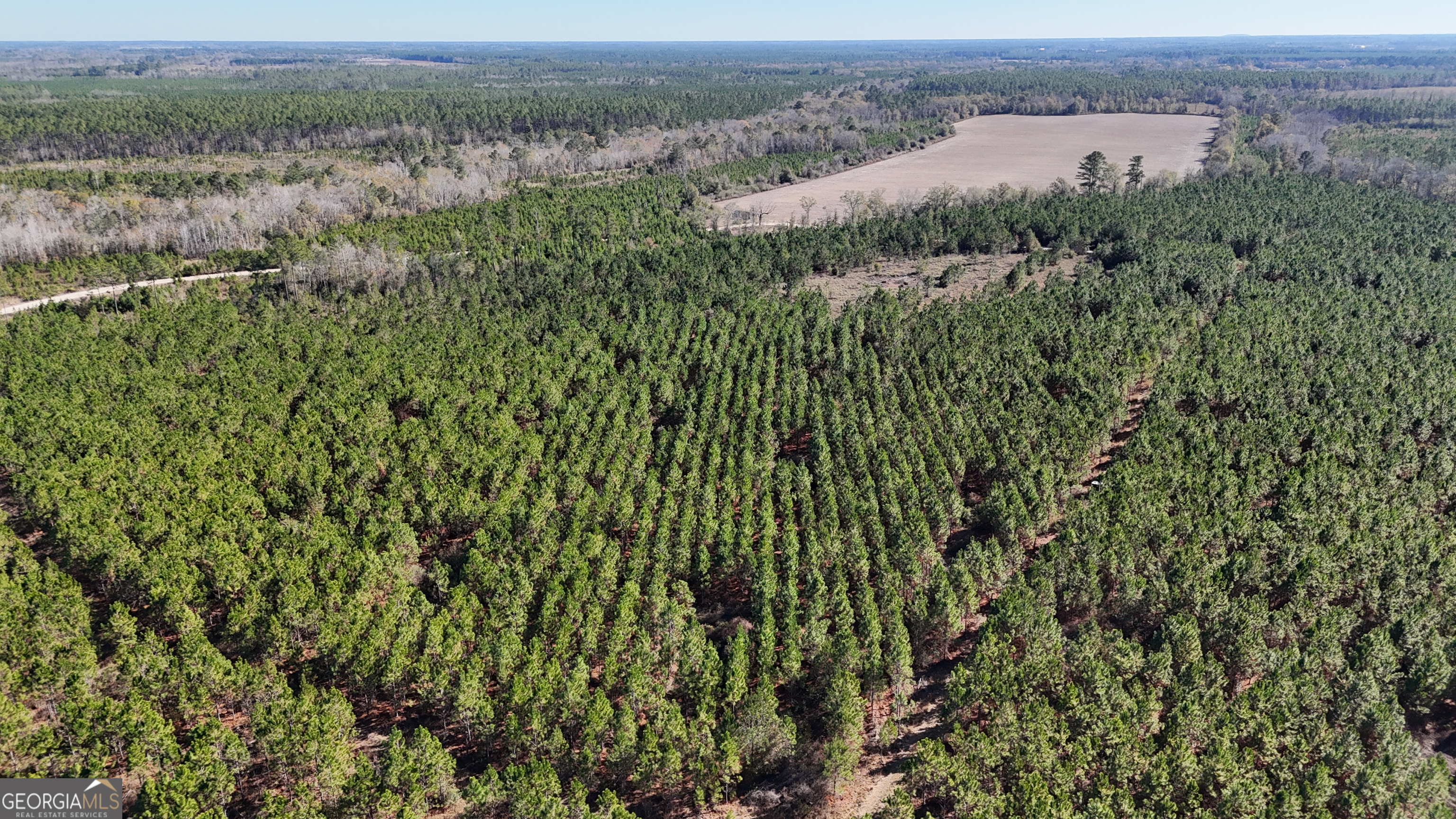 28-ac Owens Road Odum, GA 31555 - Photo 2 of 4 an aerial view of a houses with a lush green hillside
