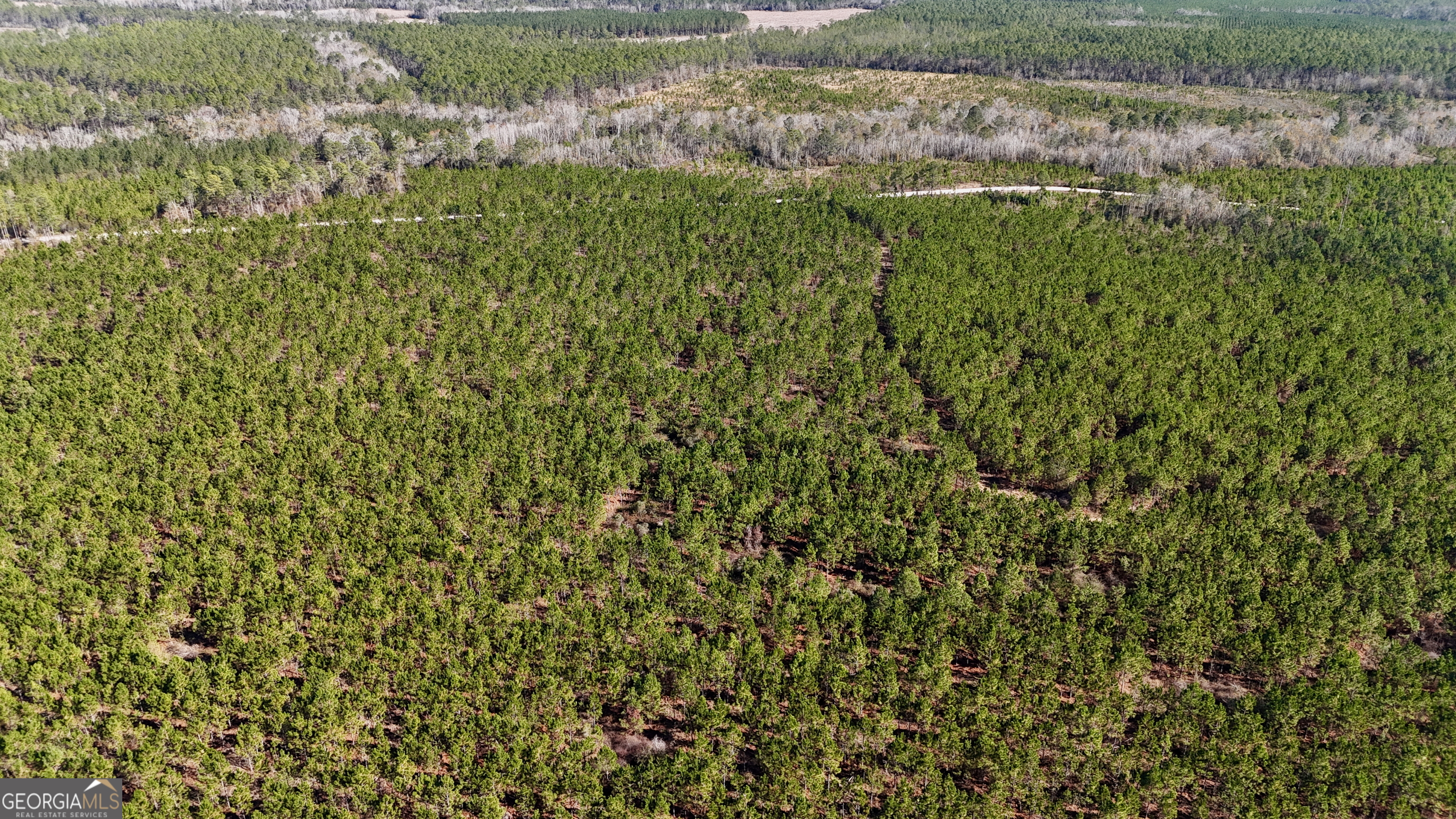 28-ac Owens Road Odum, GA 31555 - Photo 4 of 4 a view of a bunch of trees and bushes