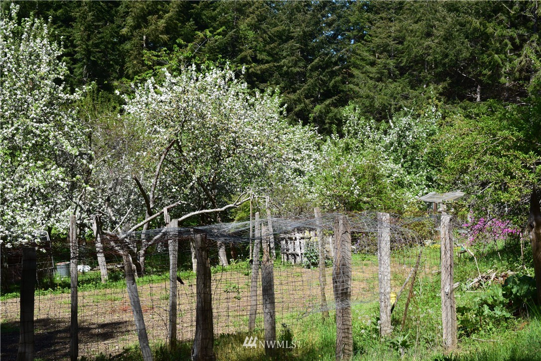 3790 East Quilcene Road Quilcene, WA 98376 - Photo 18 of 25 Gallery Image 18