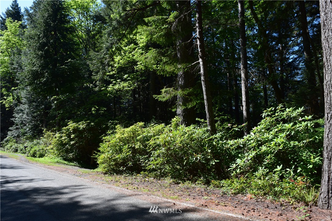 3790 East Quilcene Road Quilcene, WA 98376 - Photo 20 of 25 Gallery Image 20