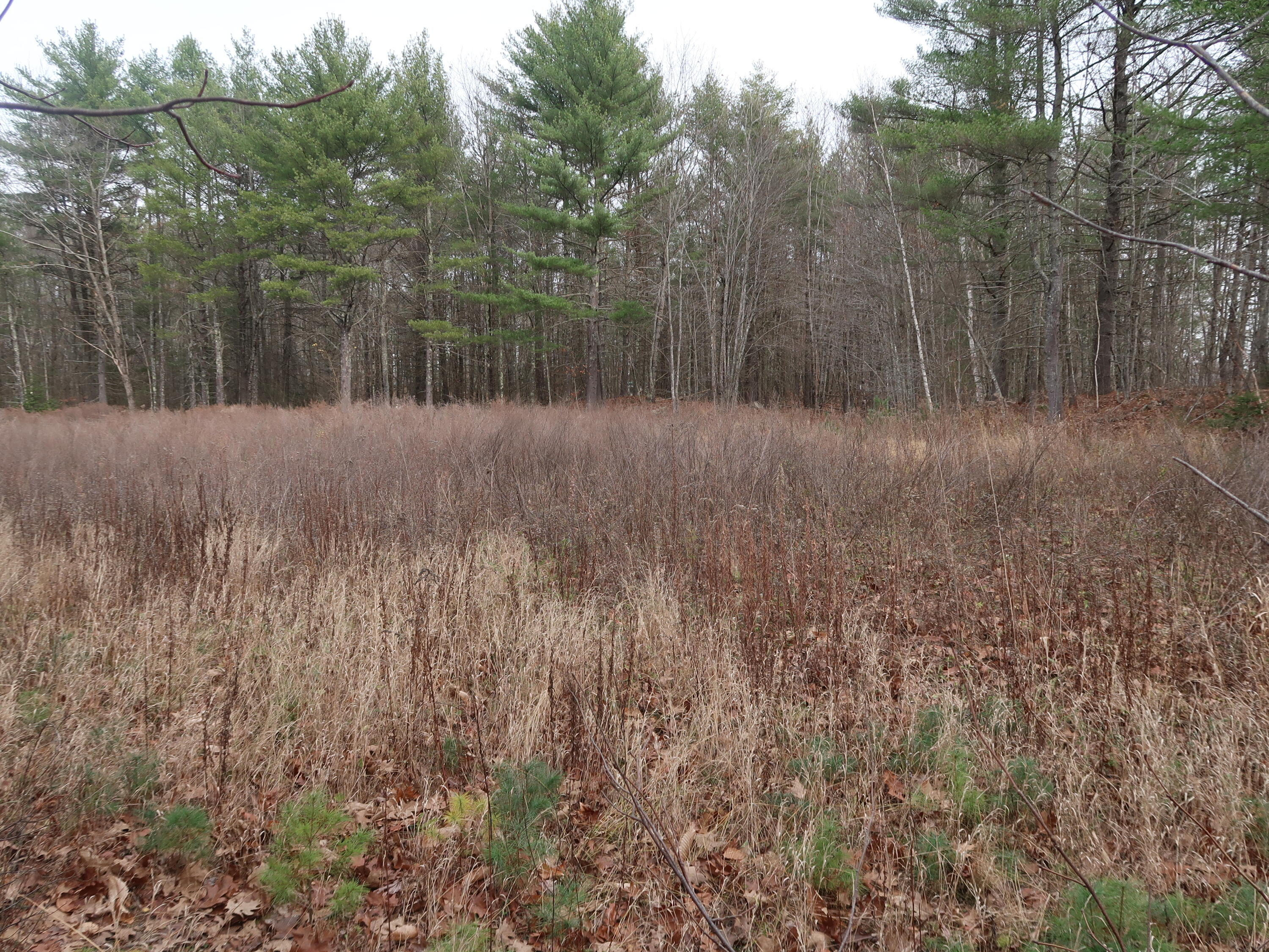 614 Windsor Road Augusta, ME 04330 - Photo 18 of 56 IMG_0257