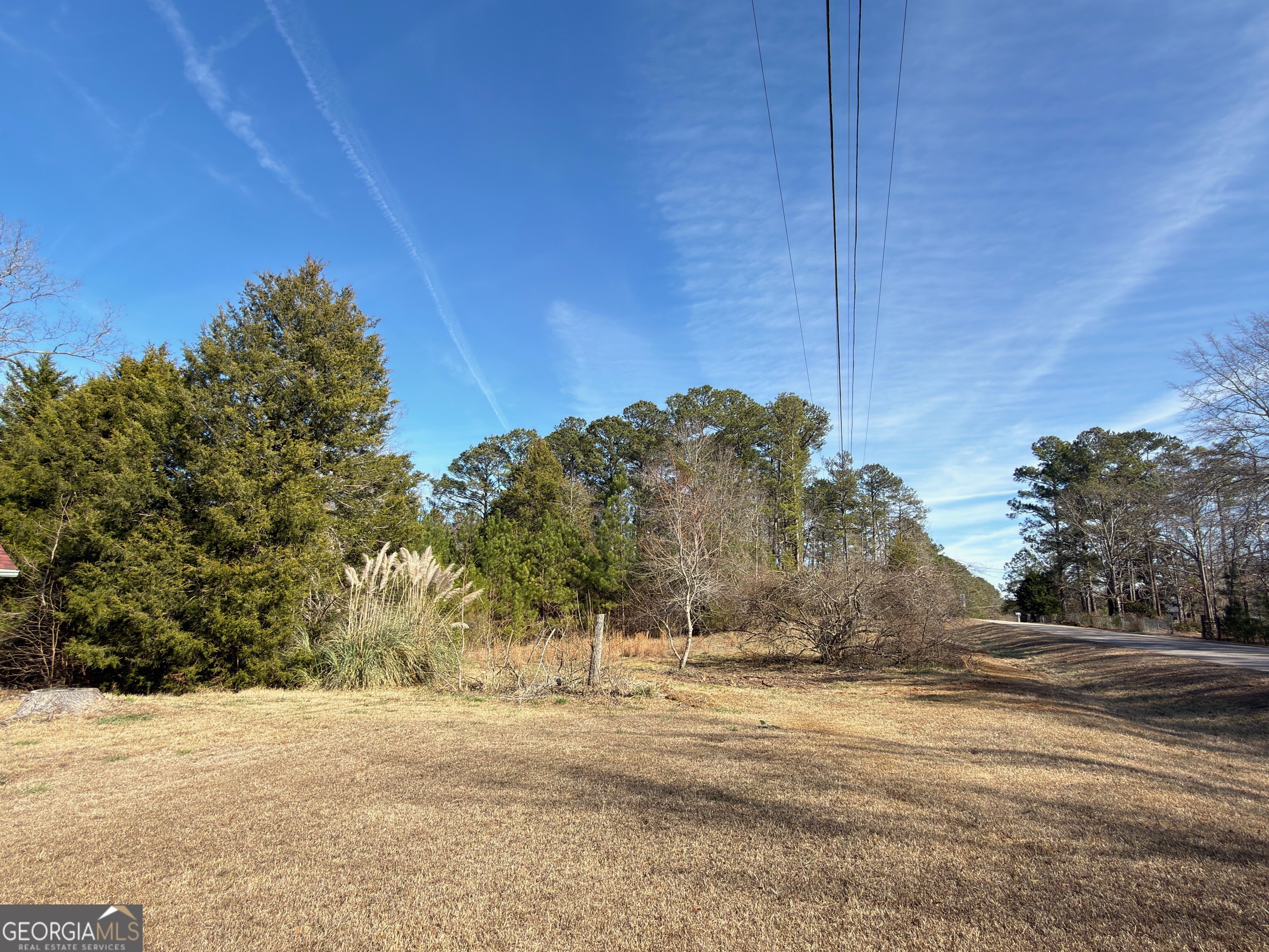 124 Bradshaw Road Thomaston, GA 30286 - Photo 2 of 10 a view of a yard