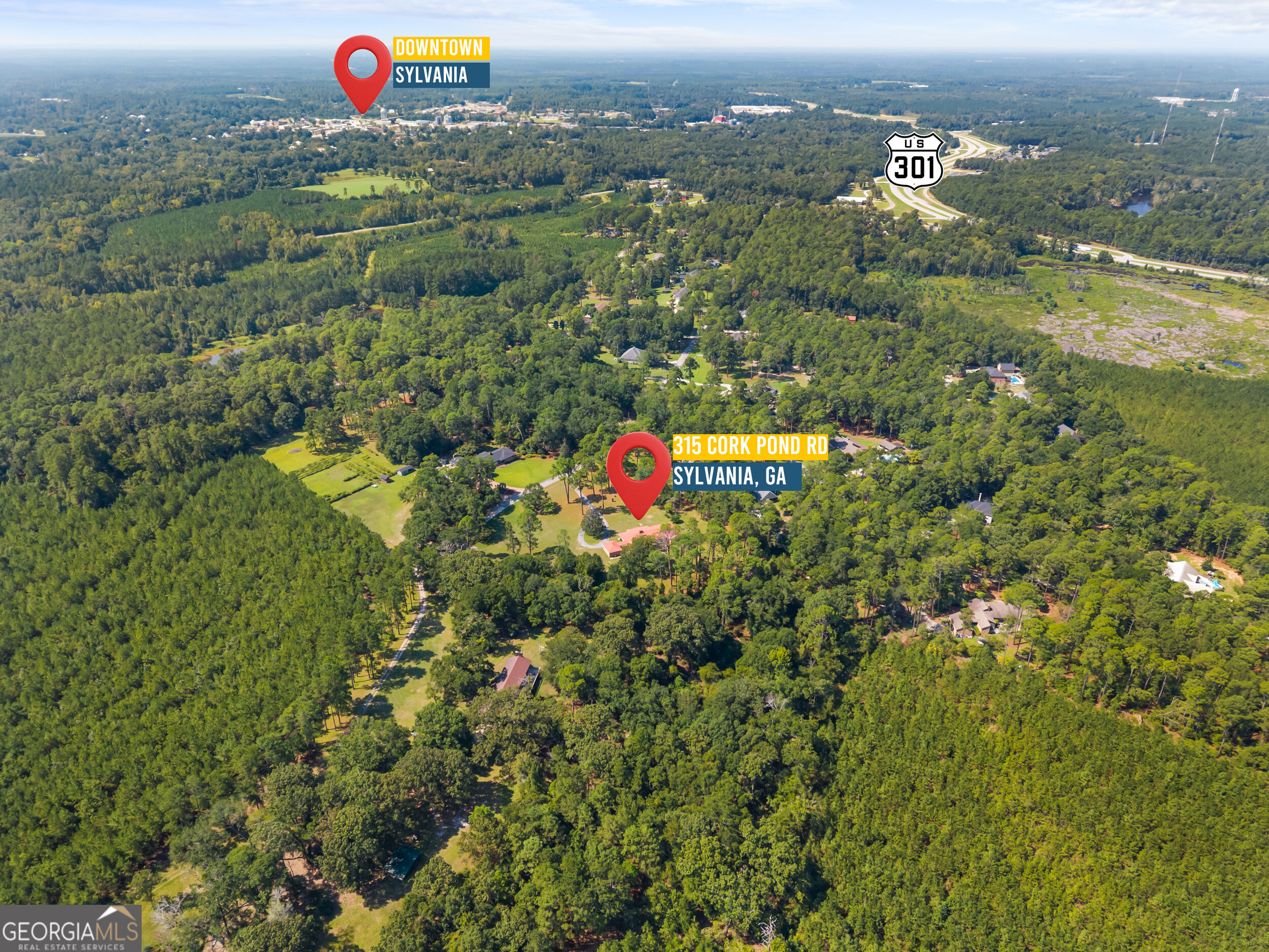 315 Cork Pond Road Sylvania, GA 30467 - Photo 4 of 54 Gallery Image 4