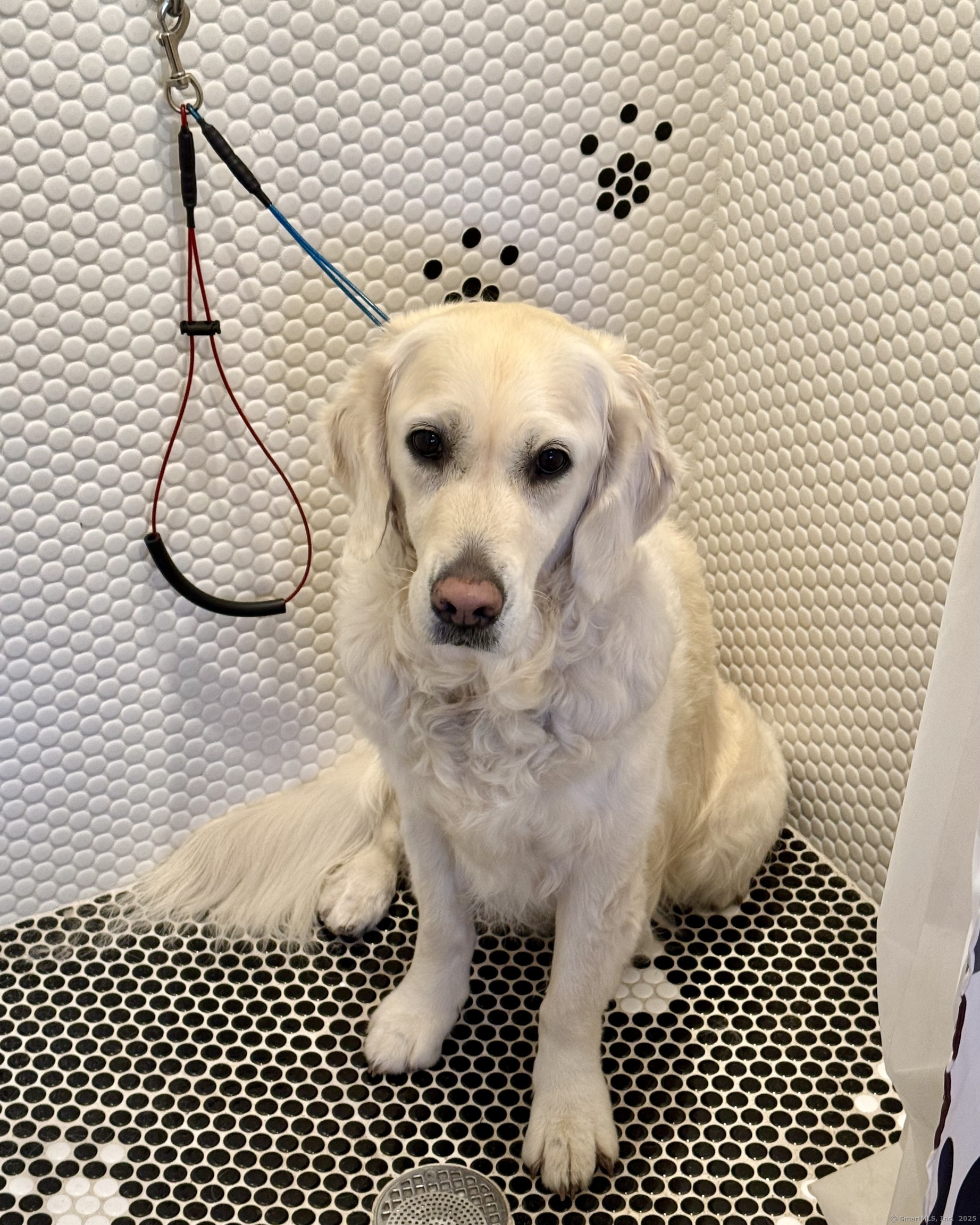 176 Logan Road New Canaan, CT 06840 - Photo 19 of 40 a bathroom with a bathtub