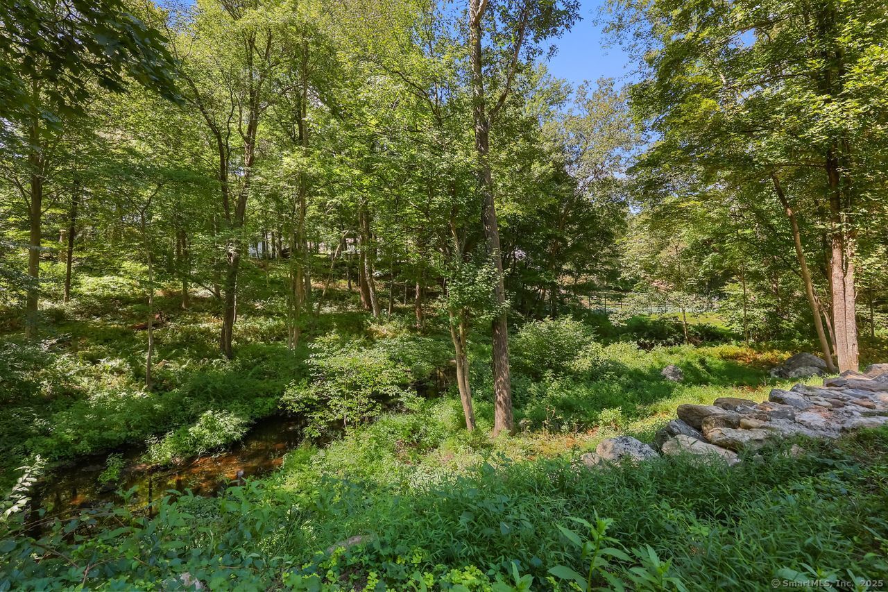 176 Logan Road New Canaan, CT 06840 - Photo 37 of 40 a view of a lush green forest with large trees