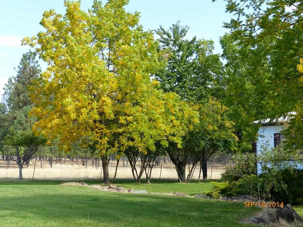 14708 South Salnave Road Cheney, WA 99004 - Photo 14 of 20