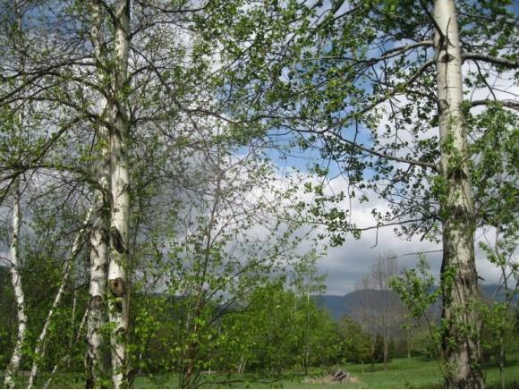1695 Fuller Hill Road Warren, VT 05674 - Photo 1 of 11