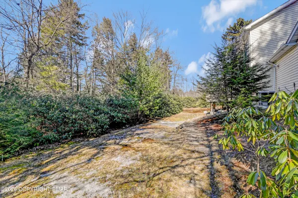 a pathway of a yard