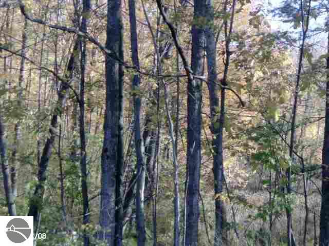0 Southwest Ingersoll Road Fife Lake, MI 49633 - Photo 13 of 13 1721042-12.JPG