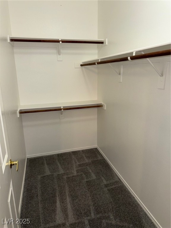 1050 East Cactus Avenue, Unit 2127 Las Vegas, NV 89183 - Photo 14 of 22 Walk-in Closet