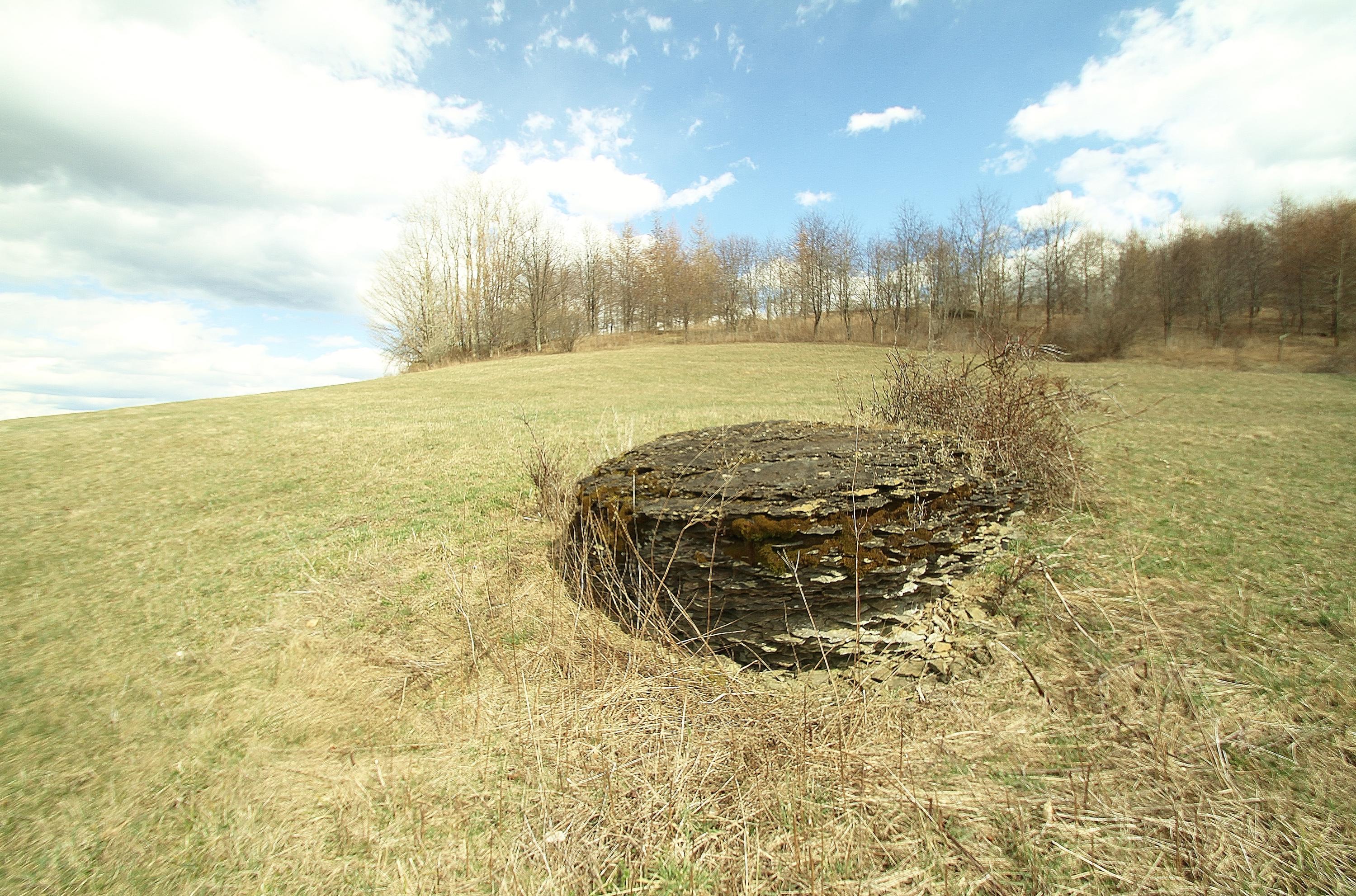 9102 Dry Branch Road Valley Head, WV 26294 - Photo 76 of 83 Gallery Image 76