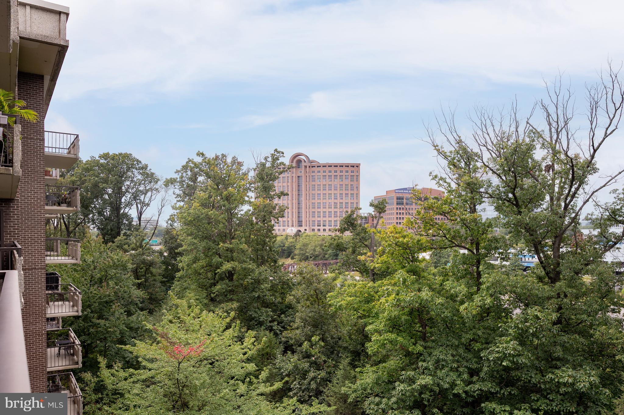 1808 Old Meadow Road, Unit 1115 McLean, VA 22102 - Photo 33 of 66