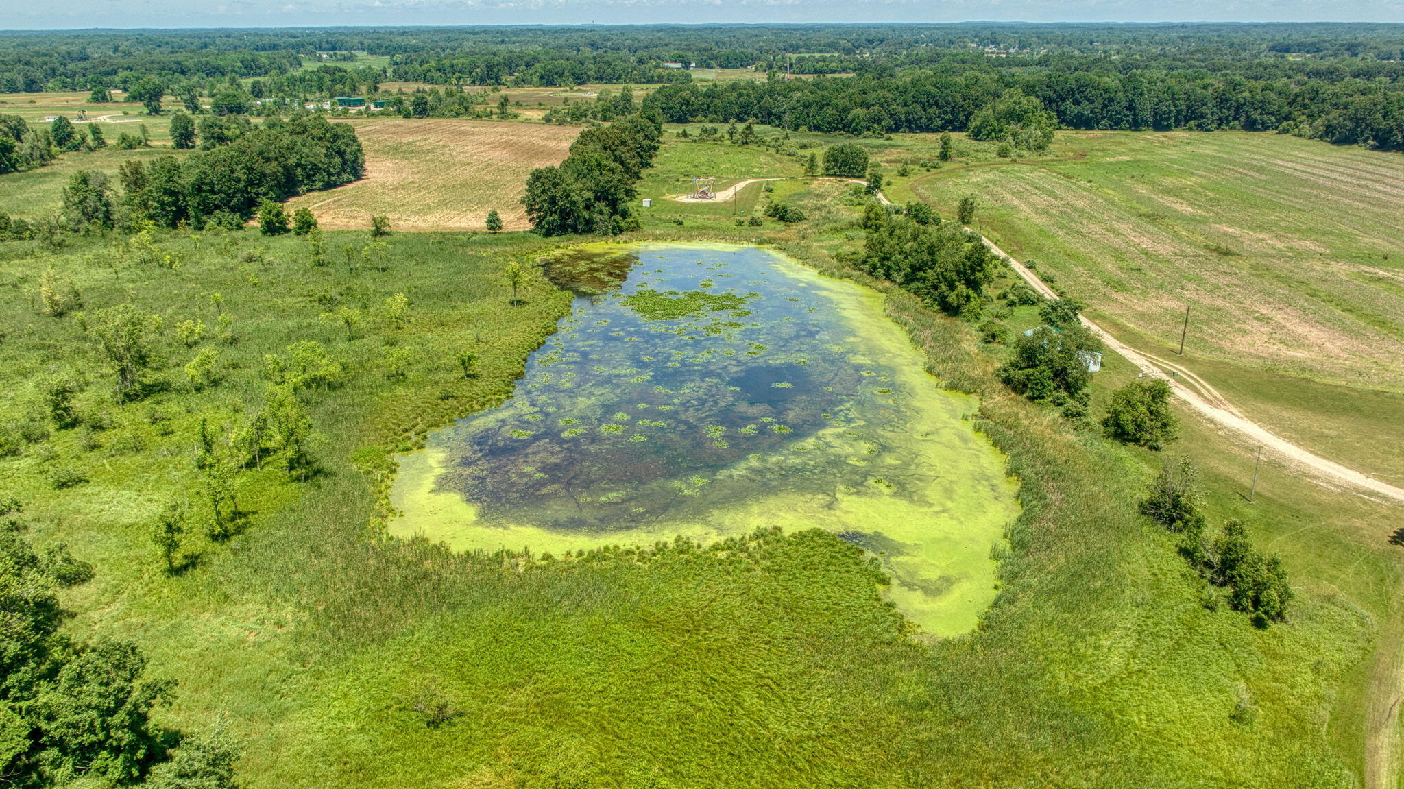 8896 Case Road Brooklyn, MI 49230 - Photo 11 of 20 12-web-or-mls-DJI_0965_HDR