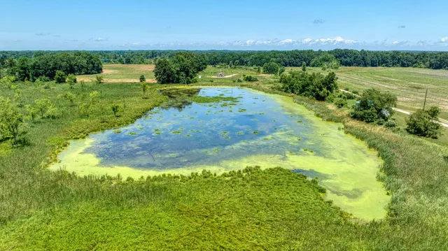 $509,500 | 8896 Case Road, Brooklyn, MI 49230