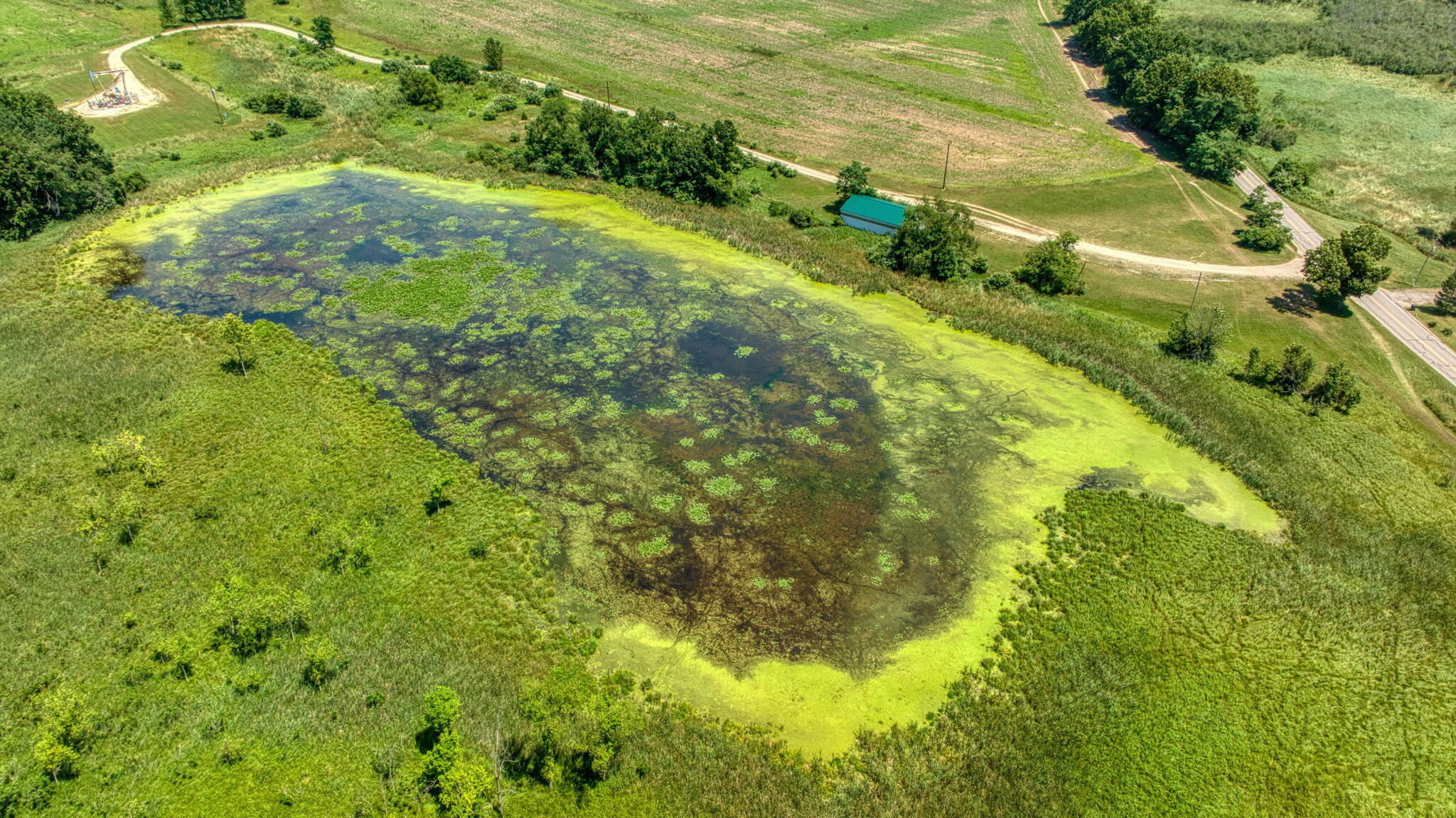 8896 Case Road Brooklyn, MI 49230 - Photo 13 of 20 14-web-or-mls-DJI_0972_HDR