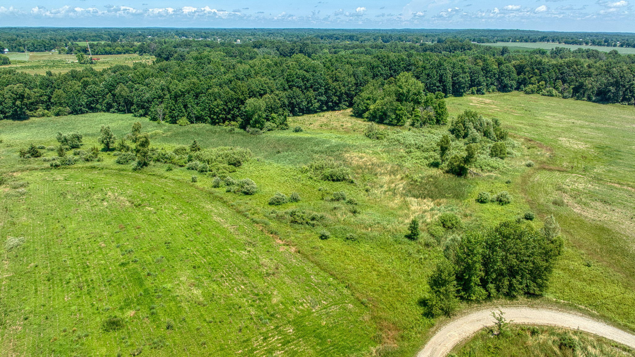 8896 Case Road Brooklyn, MI 49230 - Photo 3 of 20 2-web-or-mls-DJI_0001_HDR