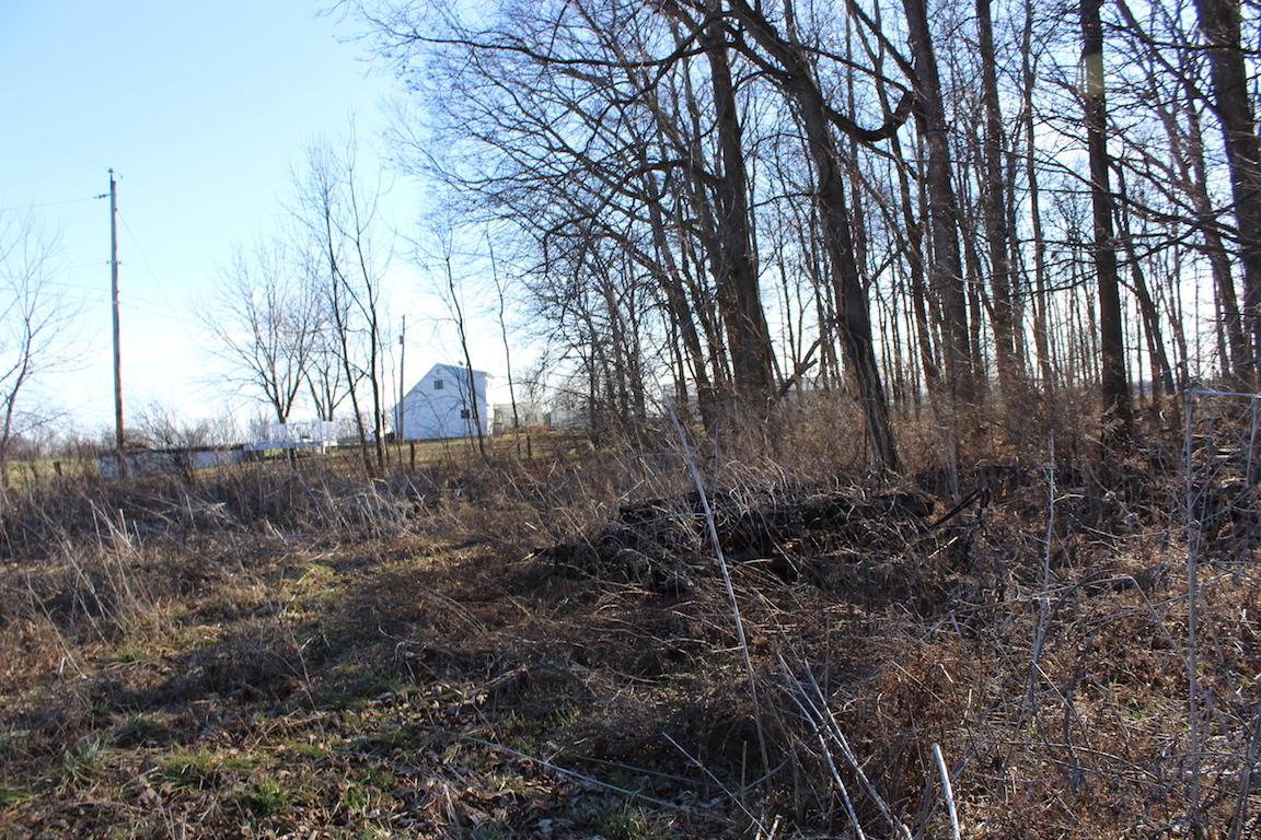 0 Ridpath Road Grove City, OH 43123 - Photo 8 of 15
