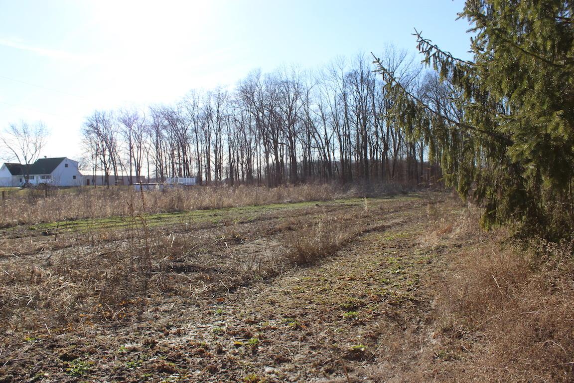 0 Ridpath Road Grove City, OH 43123 - Photo 9 of 15
