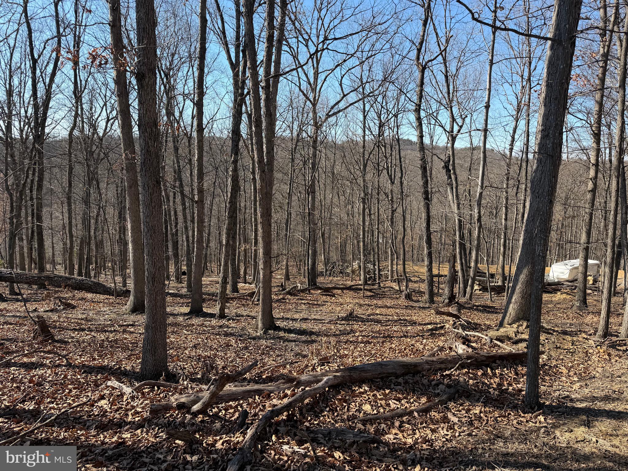 Goldsborough Road Springfield, WV 26763 - Photo 11 of 18