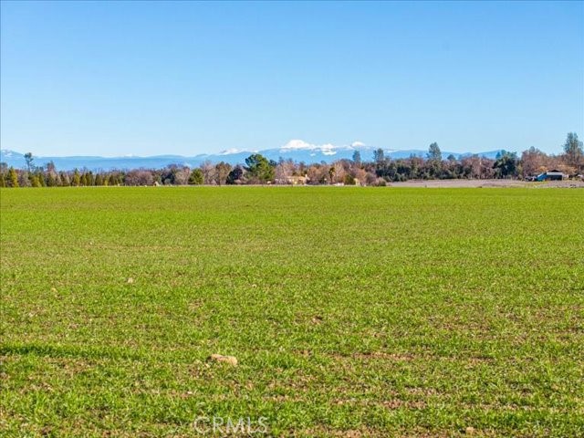 0 Old Gold Road Cottonwood, CA 96022 - Photo 19 of 53