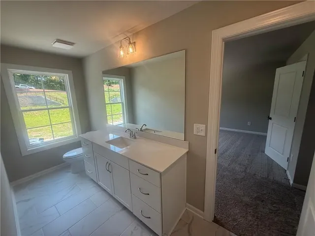 a bathroom with a double vanity sink a toilet and a shower