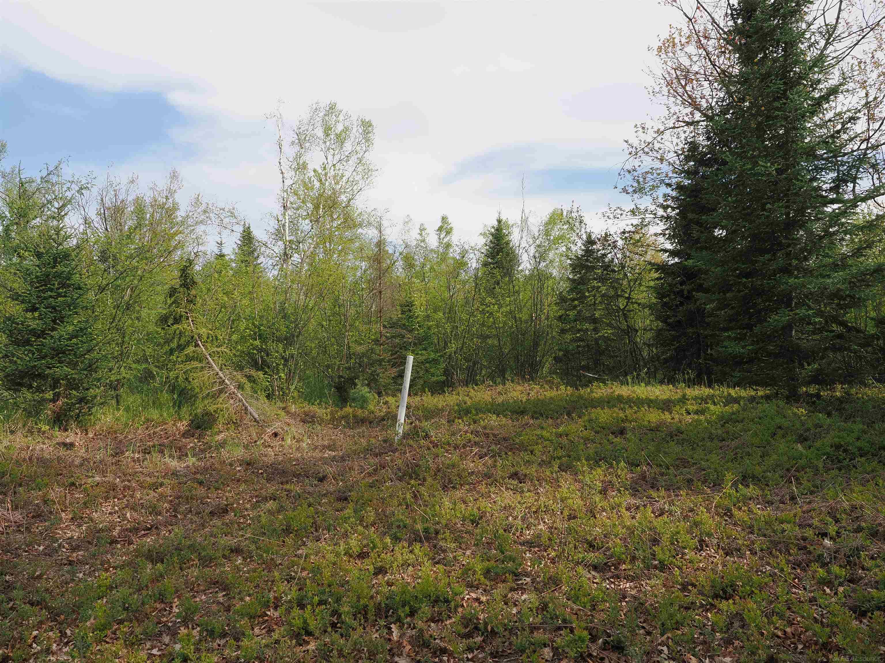 4011 Sandall Road Alpena, MI 49707 - Photo 44 of 73