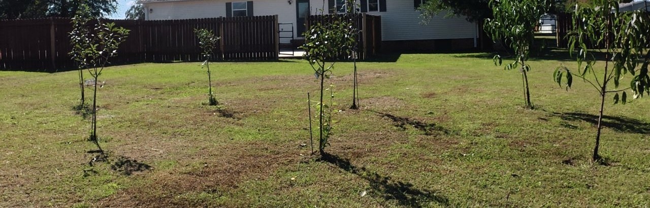 145 Hawkins Road Smithville, TN 37166 - Photo 32 of 45