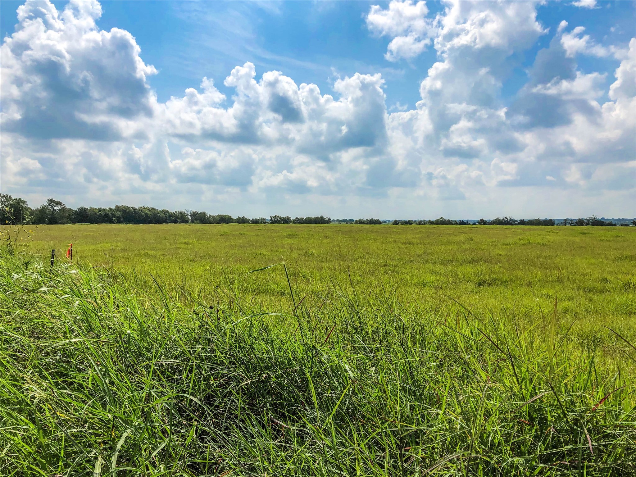 12328 Fm 1383 Schulenburg, TX 78956 - Photo 3 of 7 a view of an ocean
