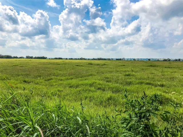 a view of an ocean and beach