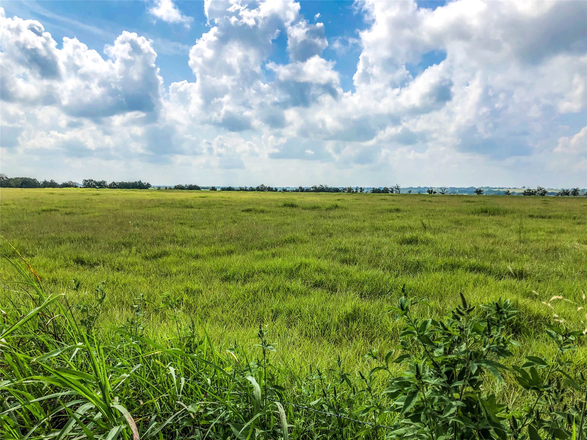 12328 Fm 1383 Schulenburg, TX 78956 - Photo 4 of 7