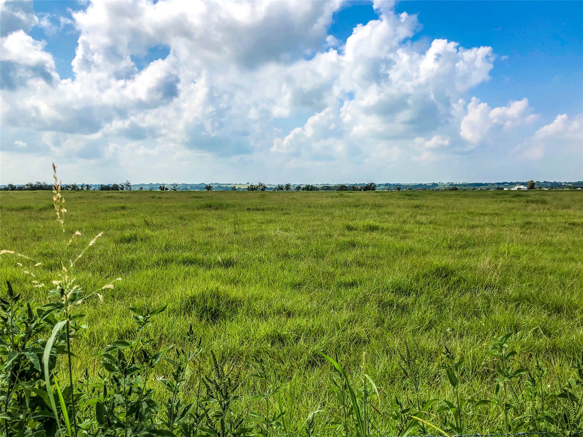 12328 Fm 1383 Schulenburg, TX 78956 - Photo 6 of 7
