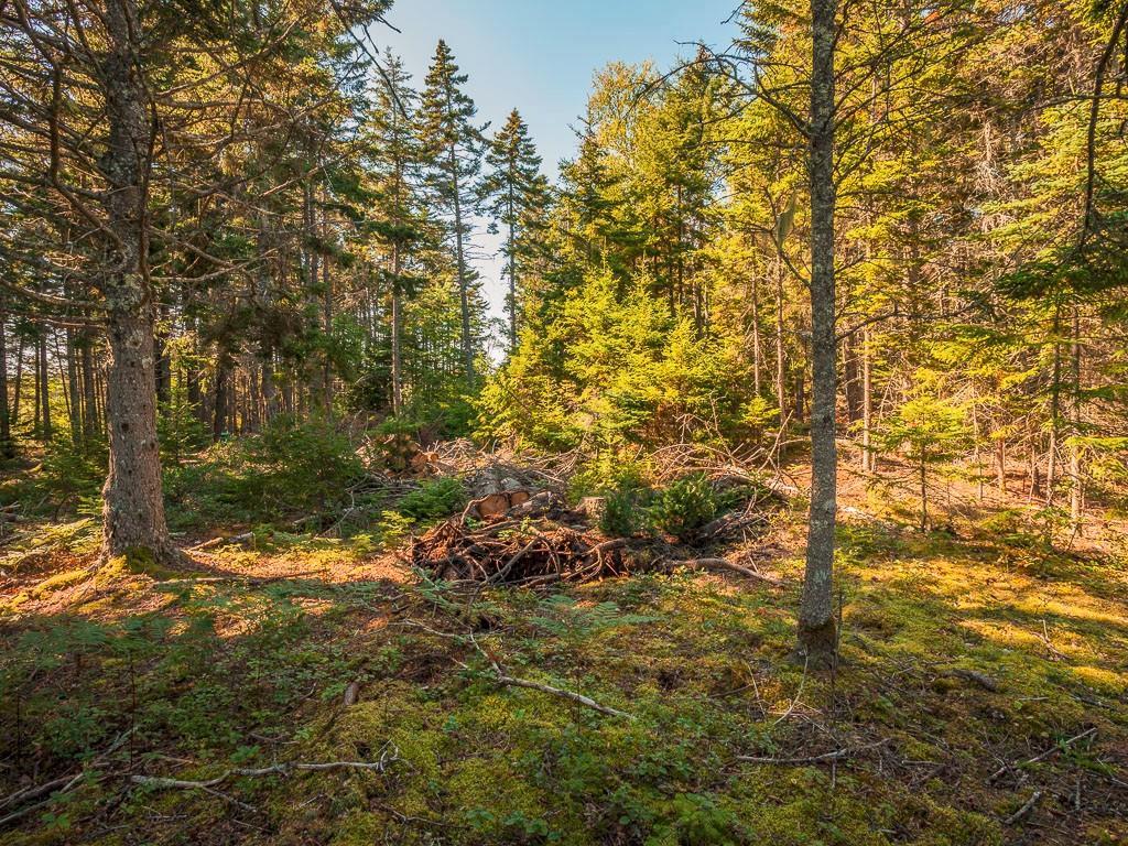 Lot 13 Scraggle Point Road Spruce Head, ME 04859 - Photo 15 of 16 Photo