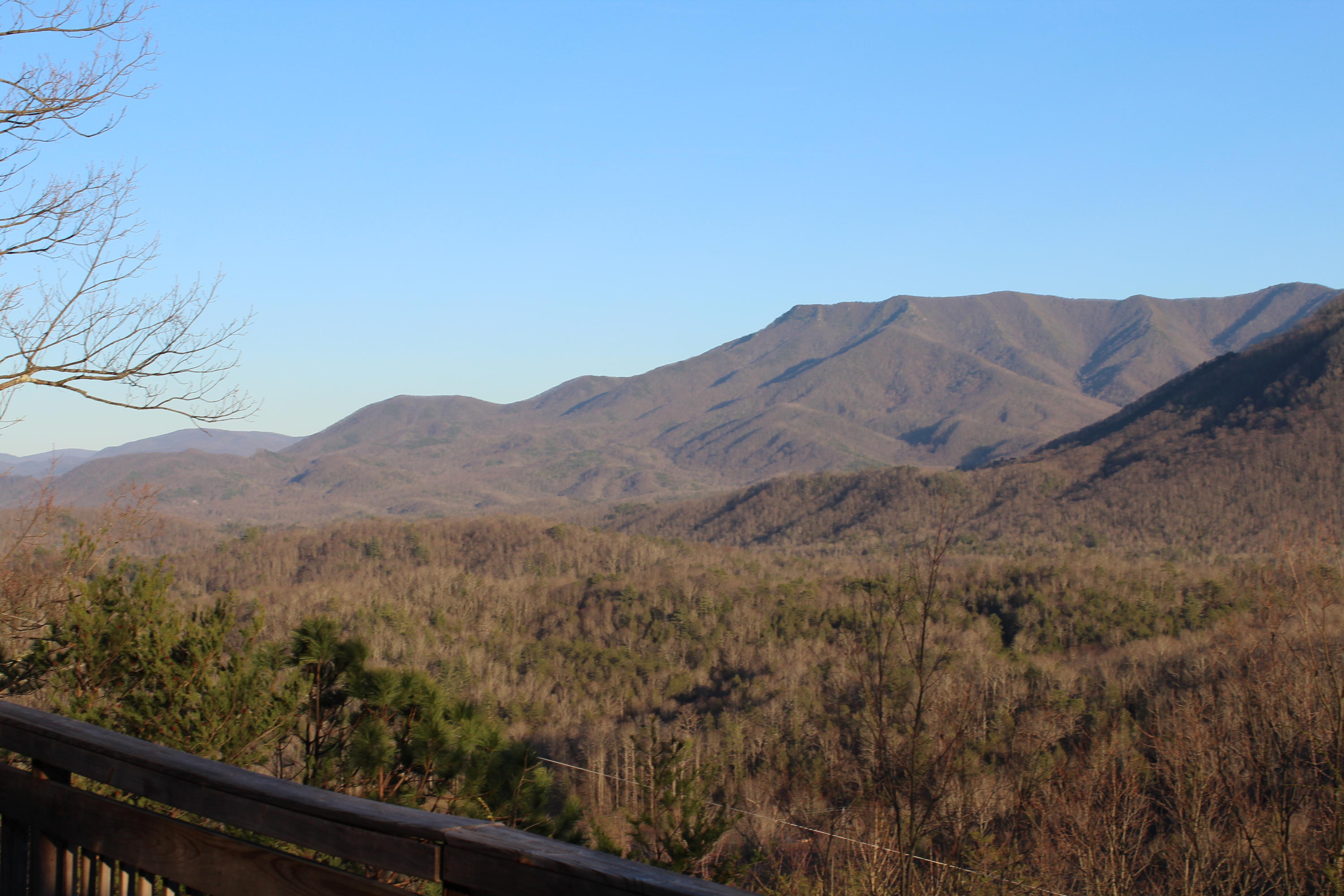 375 Costner Road Cosby, TN 37722 - Photo 30 of 36 IMG_0052
