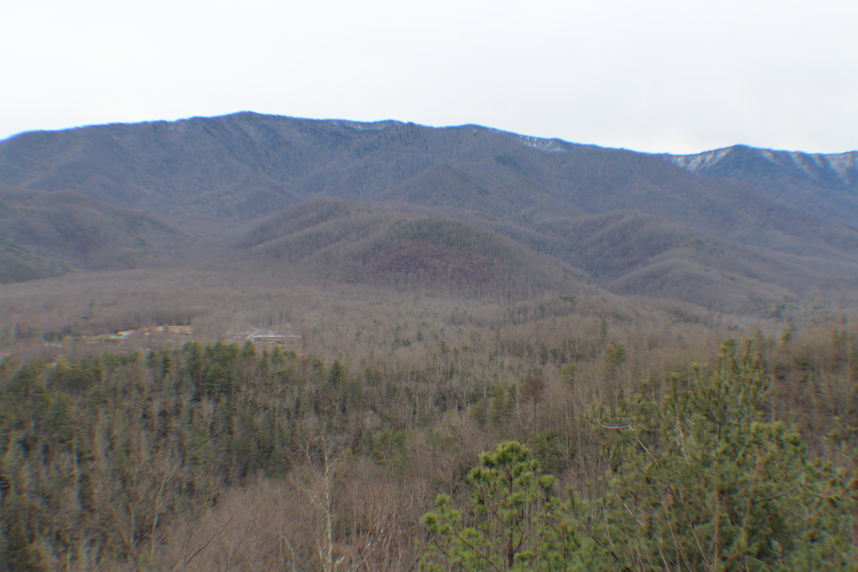375 Costner Road Cosby, TN 37722 - Photo 31 of 36 IMG_0109
