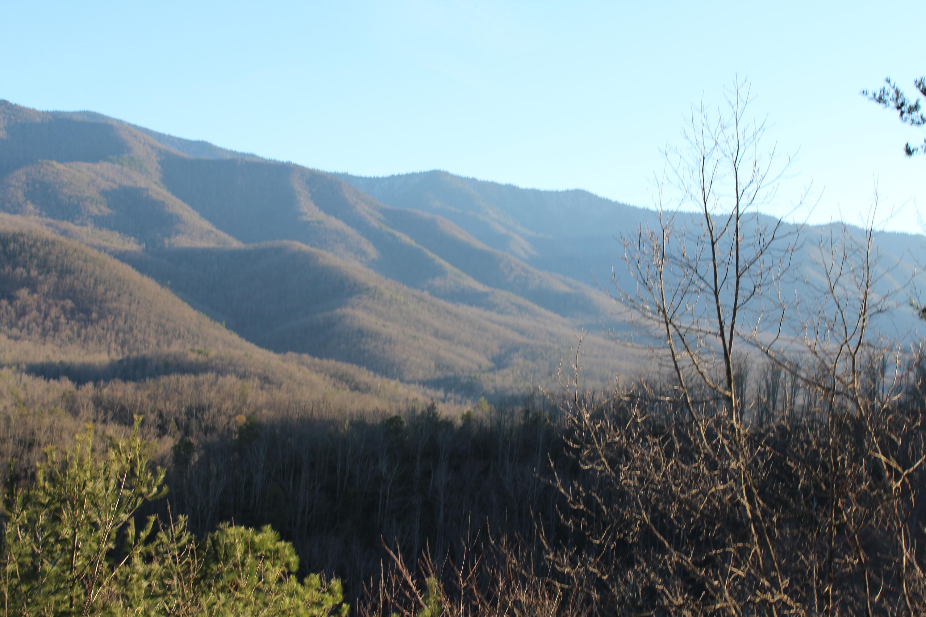 375 Costner Road Cosby, TN 37722 - Photo 32 of 36 IMG_0054