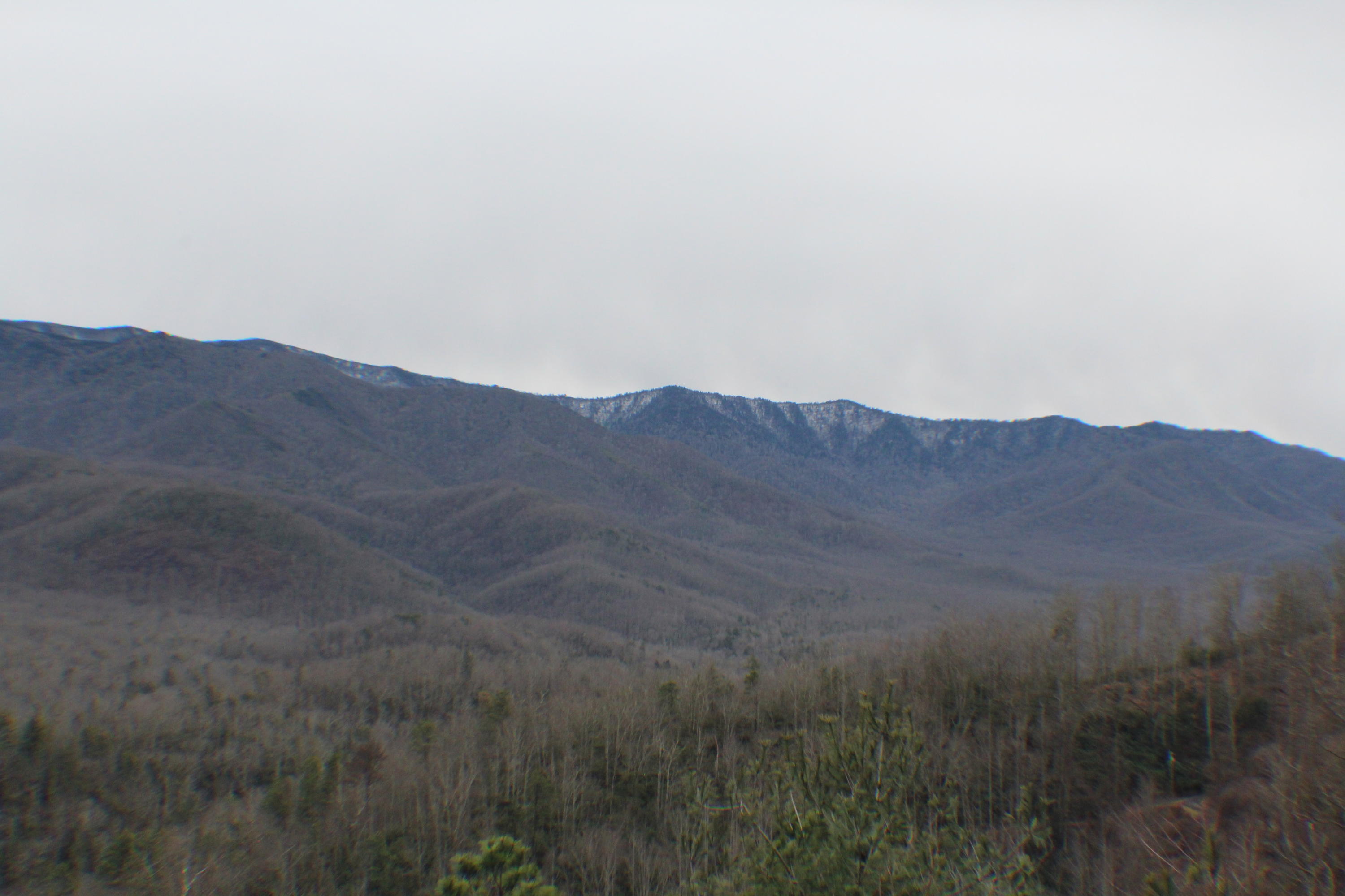 375 Costner Road Cosby, TN 37722 - Photo 33 of 36 IMG_0110