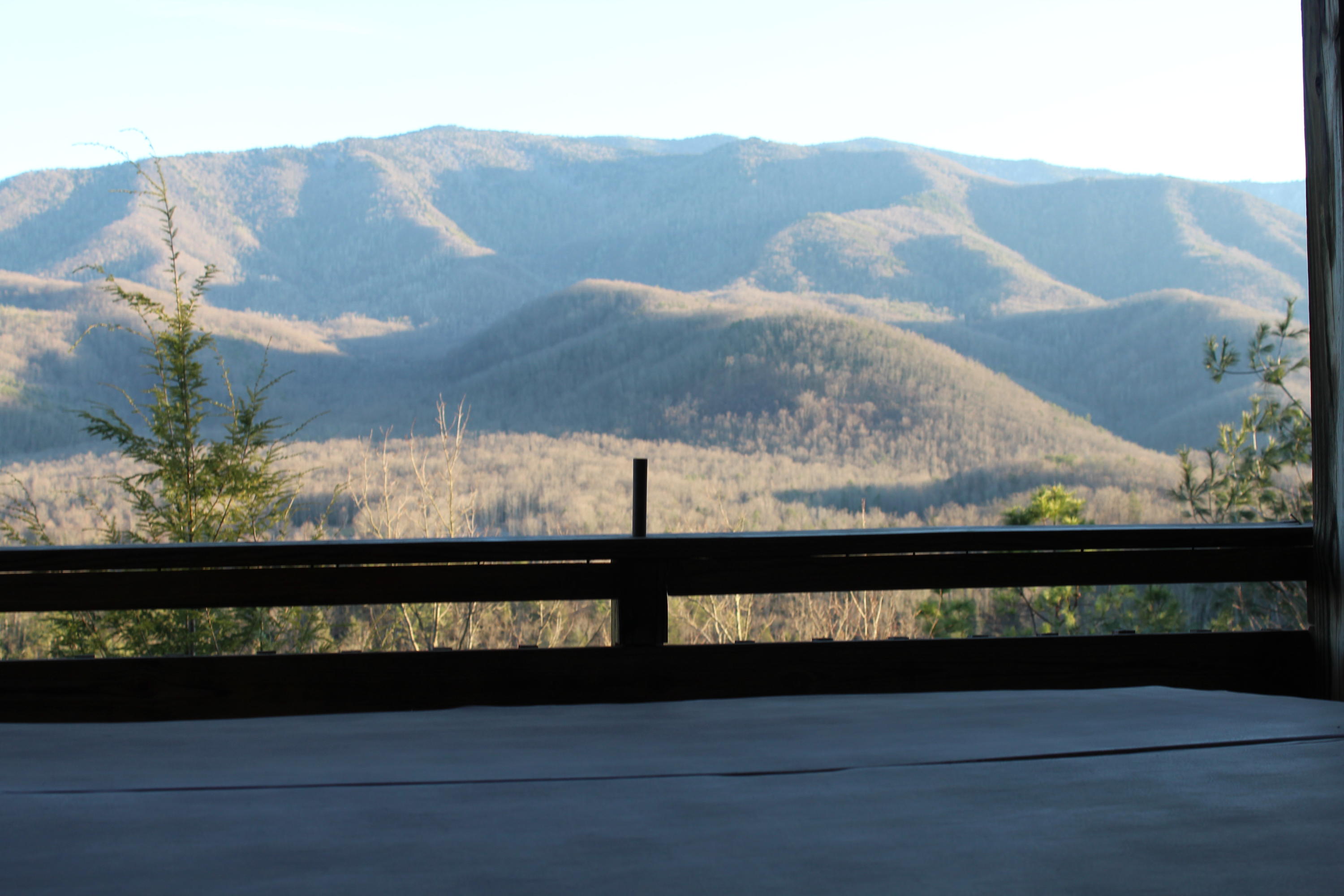 375 Costner Road Cosby, TN 37722 - Photo 34 of 36 IMG_0083