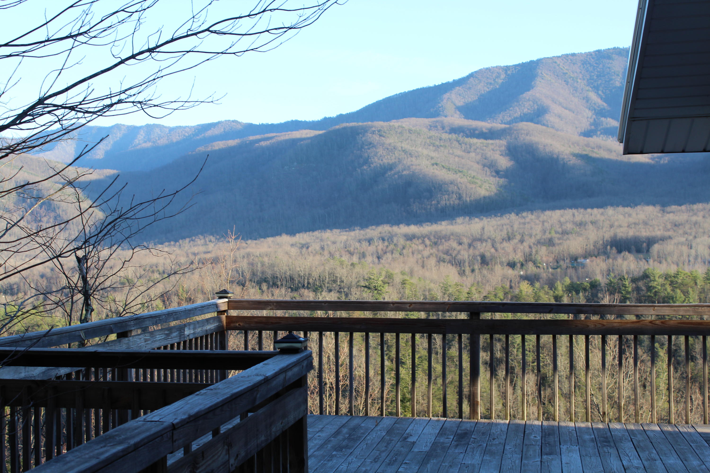 375 Costner Road Cosby, TN 37722 - Photo 35 of 36 IMG_0058