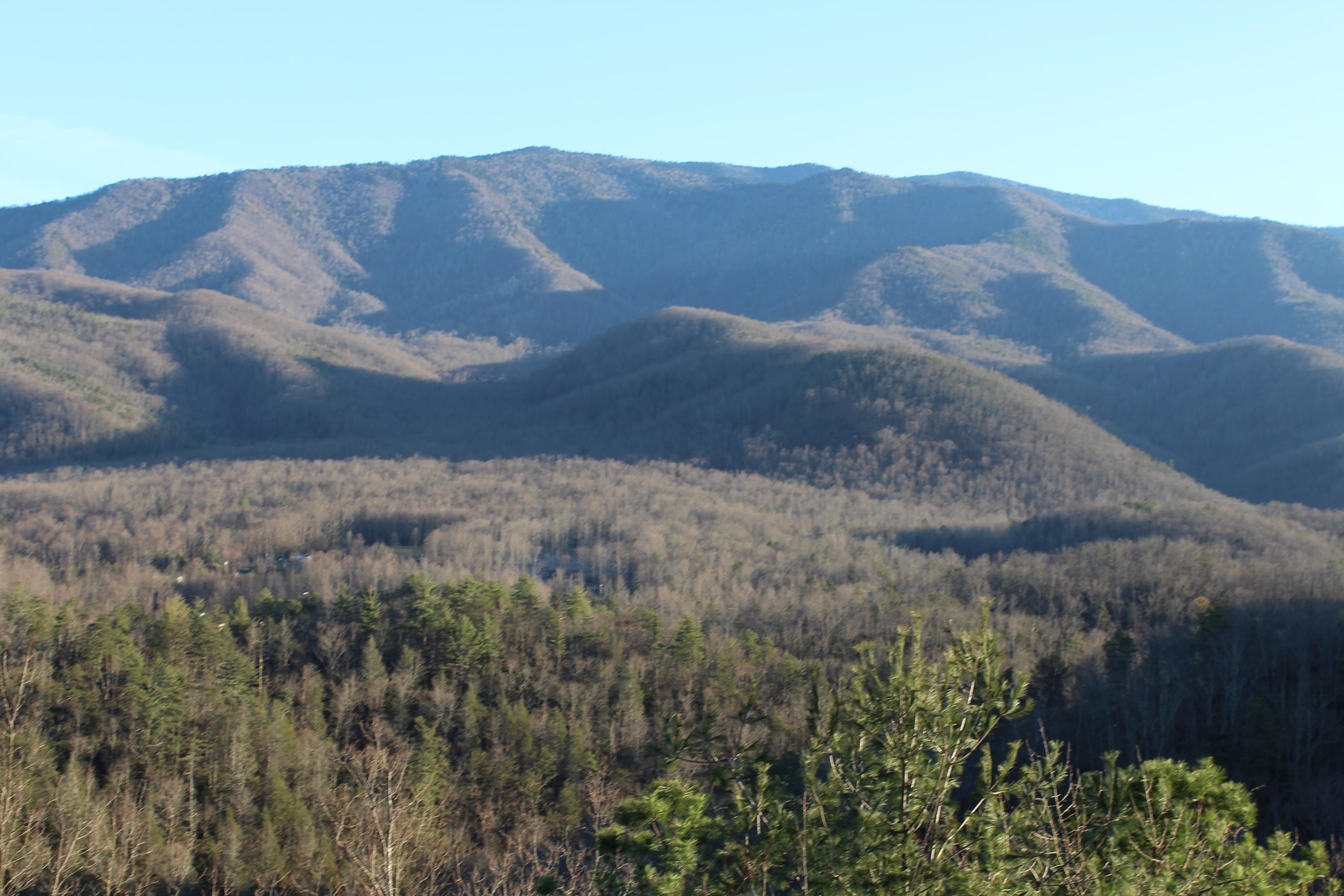 375 Costner Road Cosby, TN 37722 - Photo 6 of 36 IMG_0050
