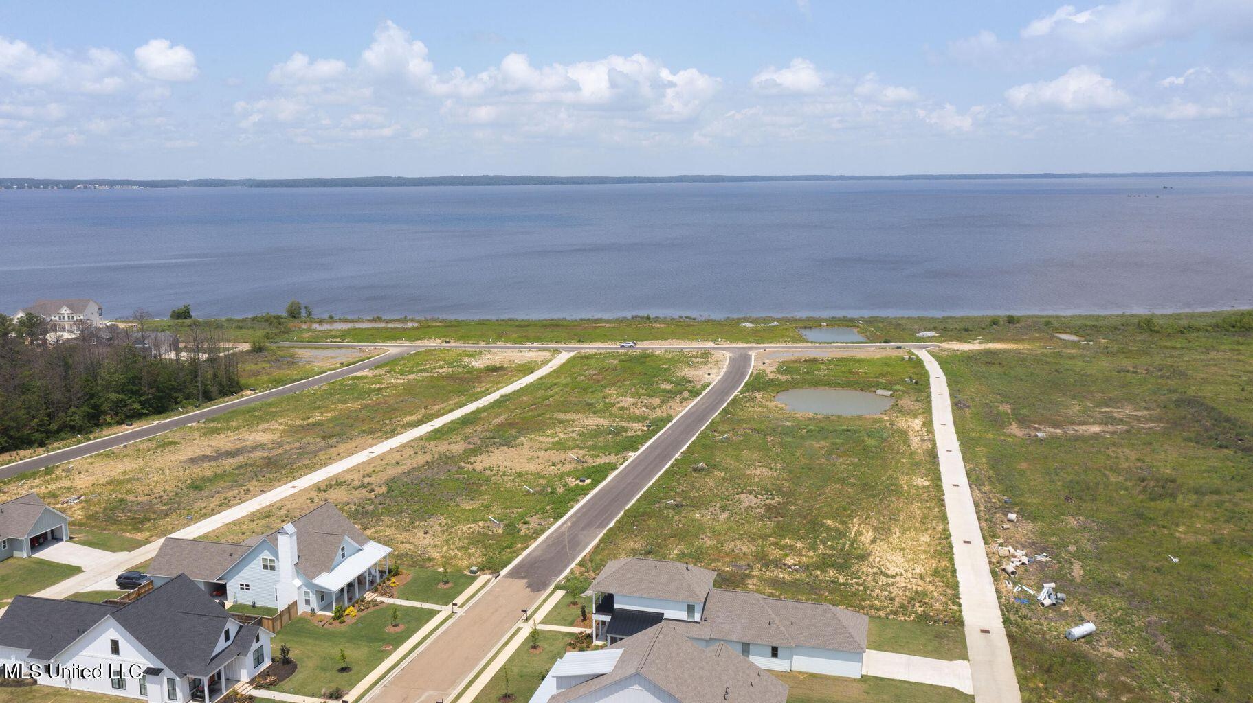 195 Arbor View Brandon, MS 39047 - Photo 14 of 21 Arbor Landing 18