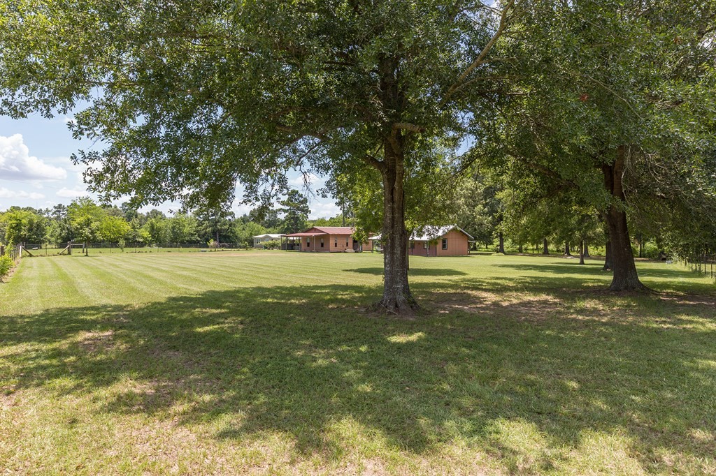 957 Dewitt Hinson Road Pollok, TX 75969 - Photo 19 of 28