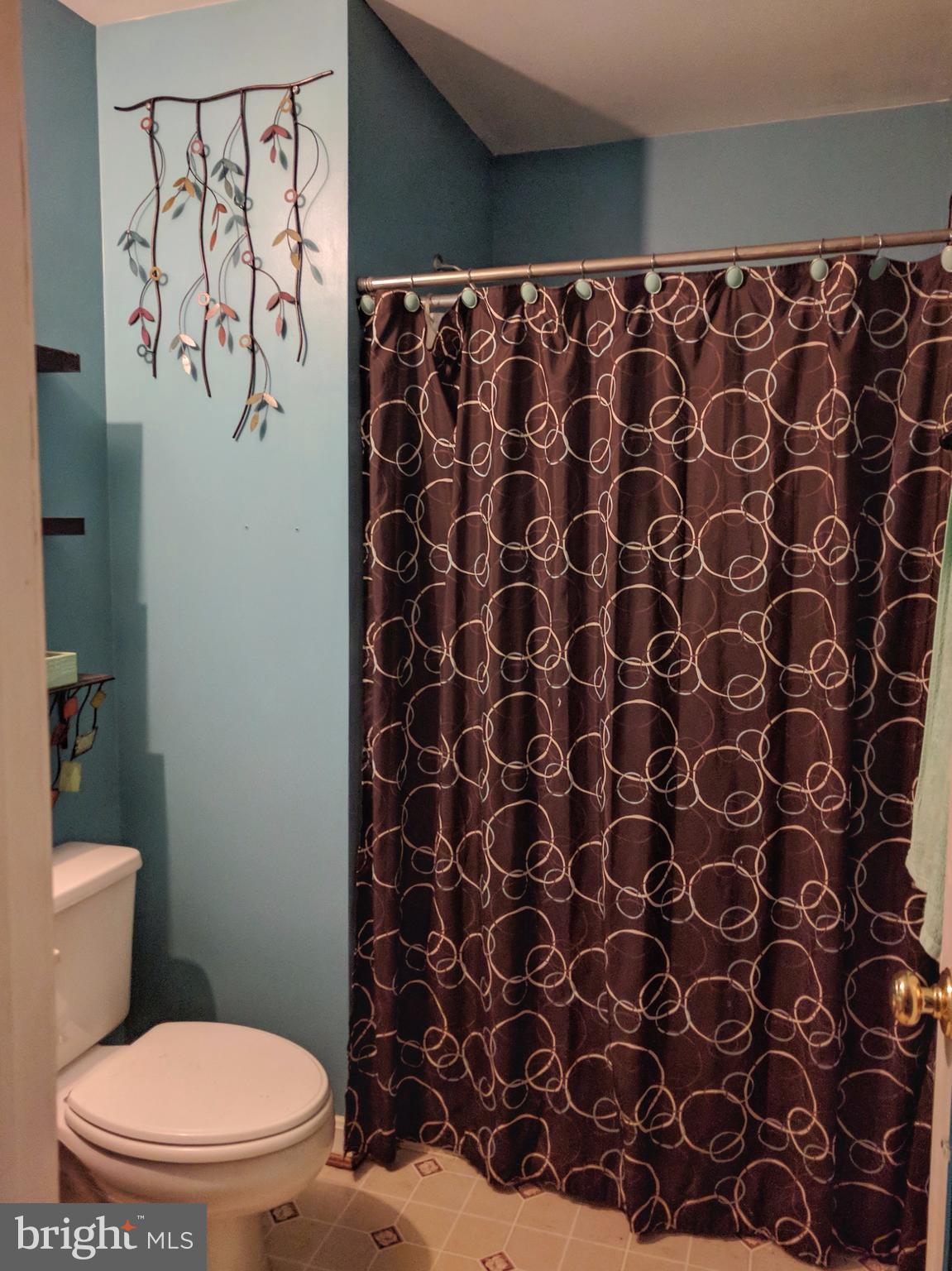 5246 Repass Road Sumerduck, VA 22742 - Photo 5 of 8 Bath (Master)