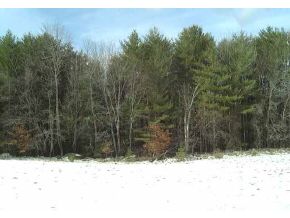 0 Graham Chester, VT 05143 - Photo 1 of 1