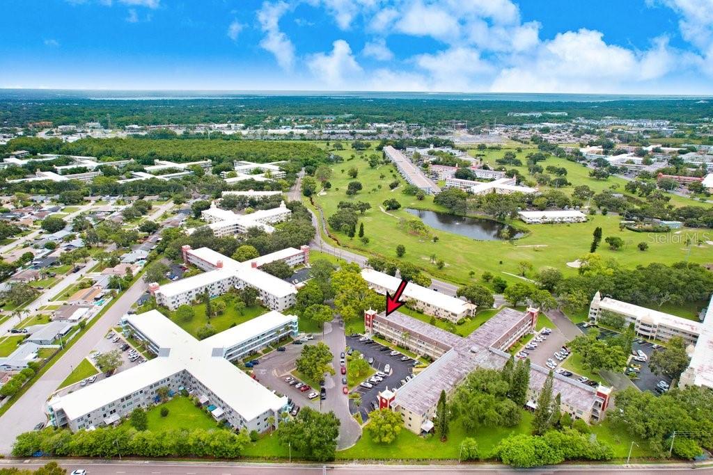 2361 Jamaican Street, Unit 51 Clearwater, FL 33763 - Photo 40 of 46