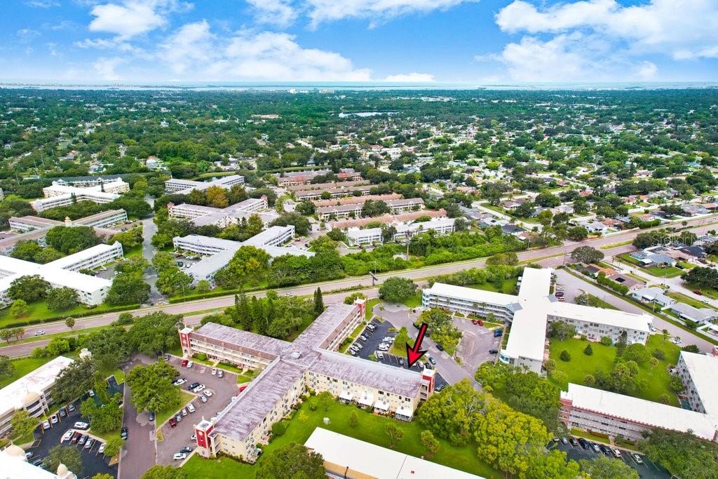 2361 Jamaican Street, Unit 51 Clearwater, FL 33763 - Photo 41 of 46