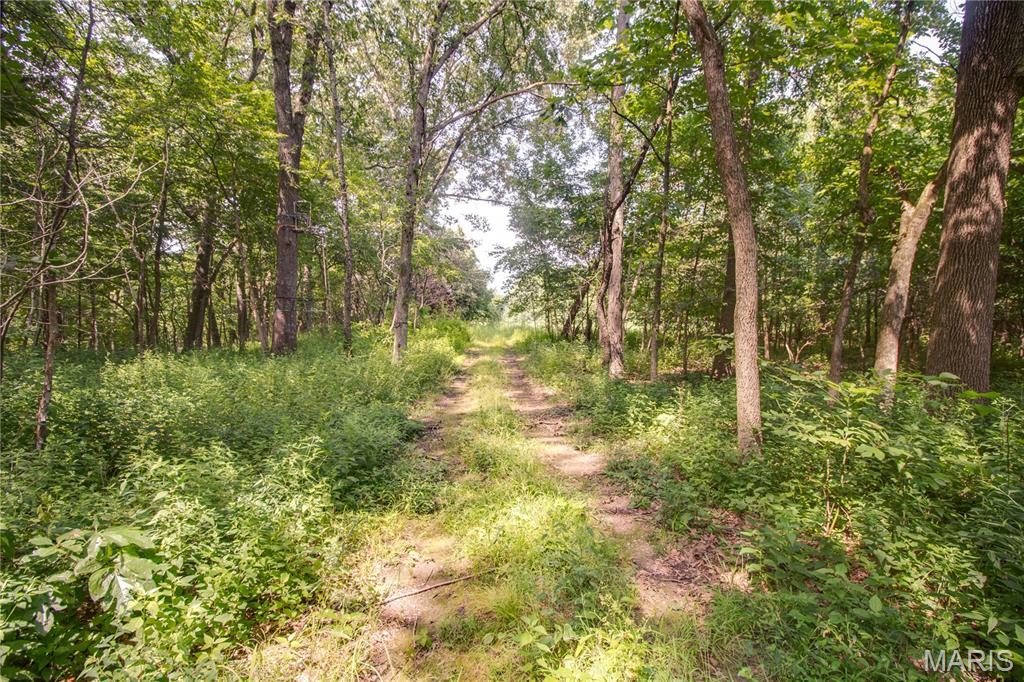 Tbd Rust Road Bunker Hill, IL 62014 - Photo 22 of 25 Gallery Image 22